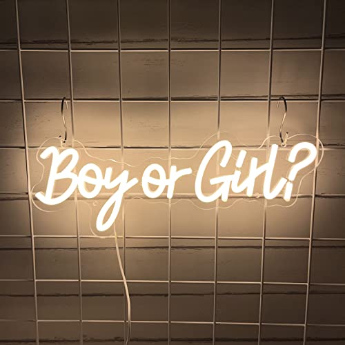 Boy or Girl Neon Sign
